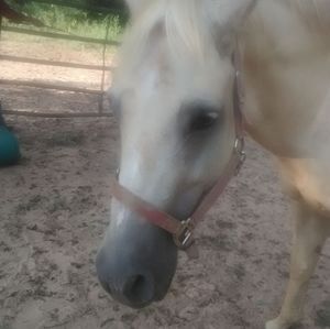 Meet your Posher, Jack